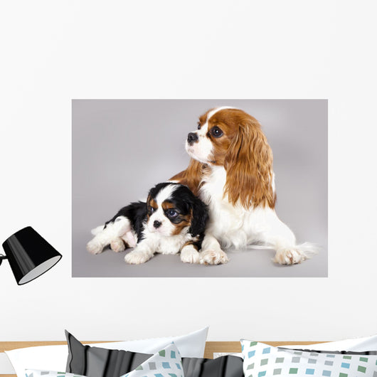 Cavalier King Charles Spaniel Wall Decal