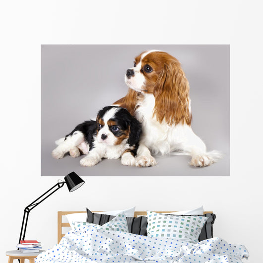 Cavalier King Charles Spaniel Wall Decal