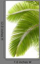 Palm Tree Leaves Top Right Wall Decal