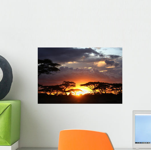 African Sunset Wall Decal