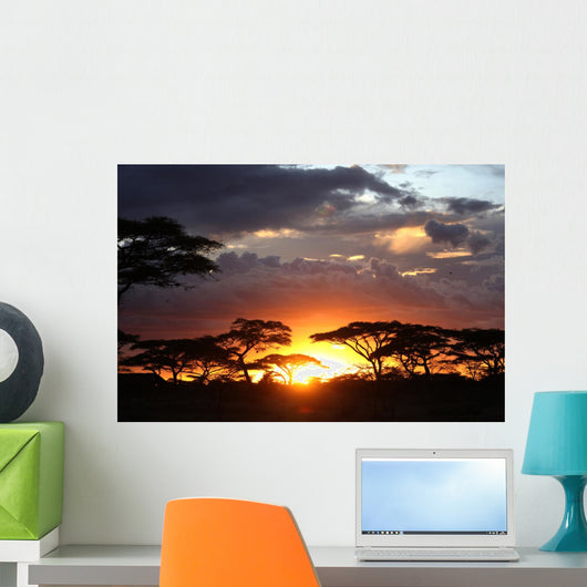 African Sunset Wall Decal