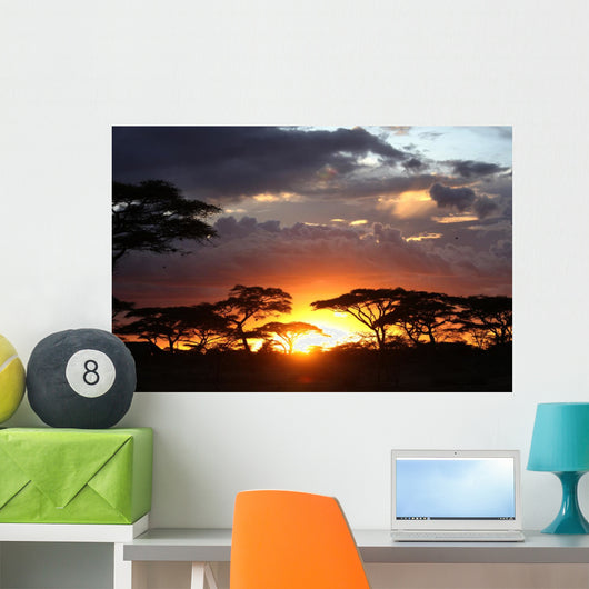 African Sunset Wall Decal