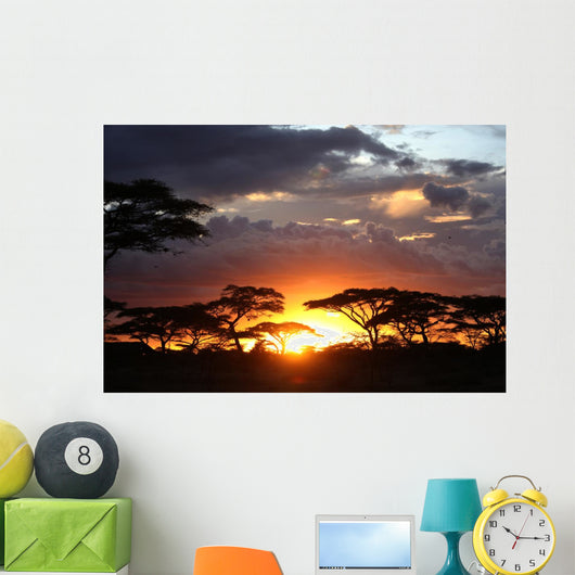 African Sunset Wall Decal