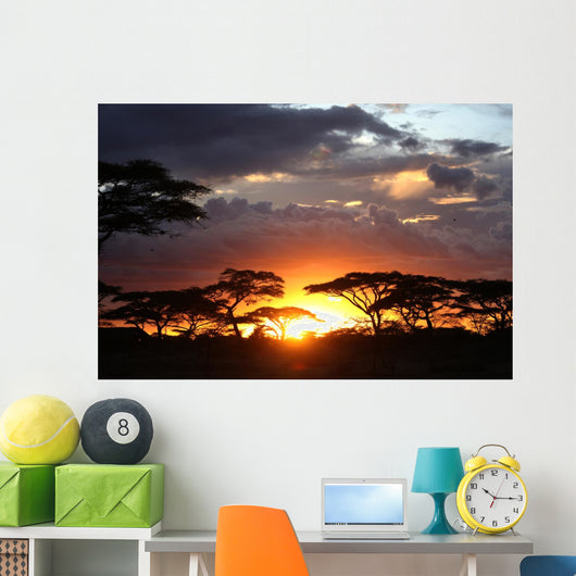 African Sunset Wall Decal