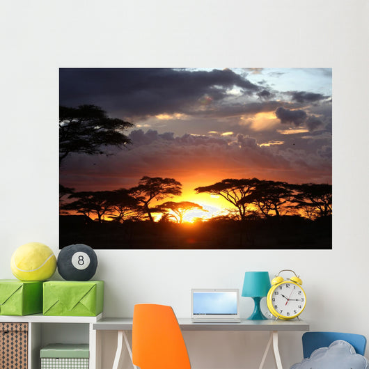 African Sunset Wall Decal