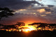 African Sunset Wall Decal