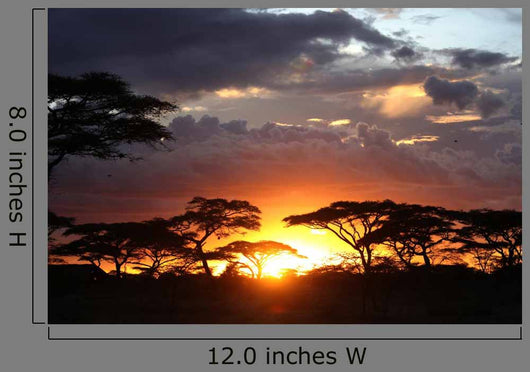 African Sunset Wall Decal