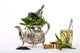 Moroccan Mint Tea 1 Wall Decal