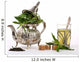 Moroccan Mint Tea 1 Wall Decal