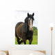 Shire Horse Wall Decal