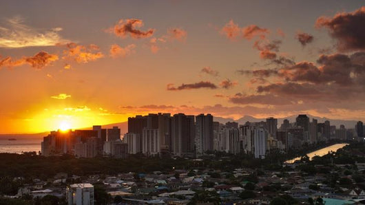 Honolulu Sunset Wall Decal