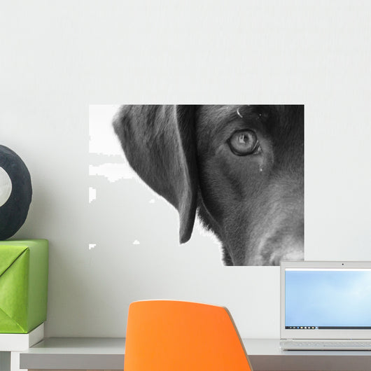 Portrait Dog Wall Decal