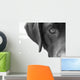 Portrait Dog Wall Decal