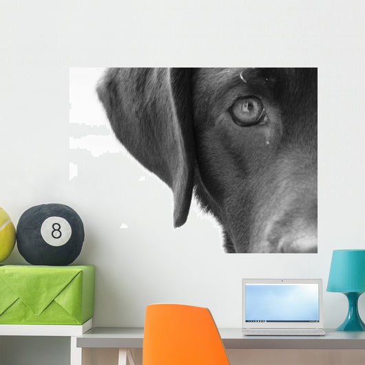Portrait Dog Wall Decal