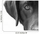 Portrait Dog Wall Decal
