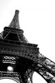 Eiffel Tower Perspective Wall Decal