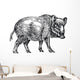 Wild Boar Wall Decal