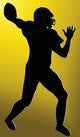 Golden Back Sport Silhouette Wall Decal