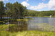 Peaceful Inland Scottish Loch Wall Decal
