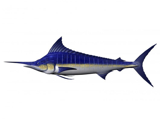 Marlin Wall Decal