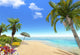 Beach Palms And Umbrella Wall Decal