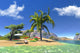 CG Render Paradise Lagoon Beach Wall Decal