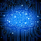 Circuit Board Brain Wall Decal