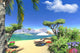 CG Render Paradise Lagoon With Lounge Wall Decal