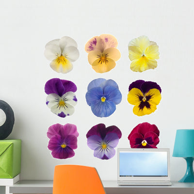Pansy Flower Pansies Wall Stickers Wall Decal shown on a wall