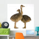 Two Ostrich Chicks White Background Wall Decal