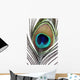 Up Peacock Feather Wall Decal