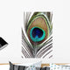 Up Peacock Feather Wall Decal