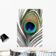Up Peacock Feather Wall Decal