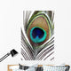 Up Peacock Feather Wall Decal