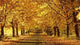 Golden Yellow Colored Foliage Wall Decal