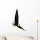 The Bald Eagle Haliaeetus Leucocephalus Wall Decal
