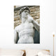 David Michelangelo Wall Decal