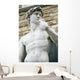 David Michelangelo Wall Decal