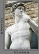 David Michelangelo Wall Decal