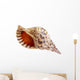 Big Seashell Wall Decal
