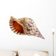 Big Seashell Wall Decal