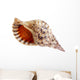 Big Seashell Wall Decal