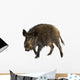 Wild Boar Front White Wall Decal