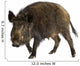 Wild Boar Front White Wall Decal