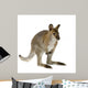 Wallaby Front White Wall Decal