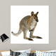 Wallaby Front White Wall Decal
