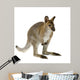 Wallaby Front White Wall Decal