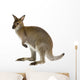 Australian Wallaby Wall Decal