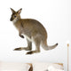 Australian Wallaby Wall Decal