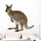 Australian Wallaby Wall Decal